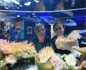 Solitary Islands Aquarium - Accommodation Broken Hill